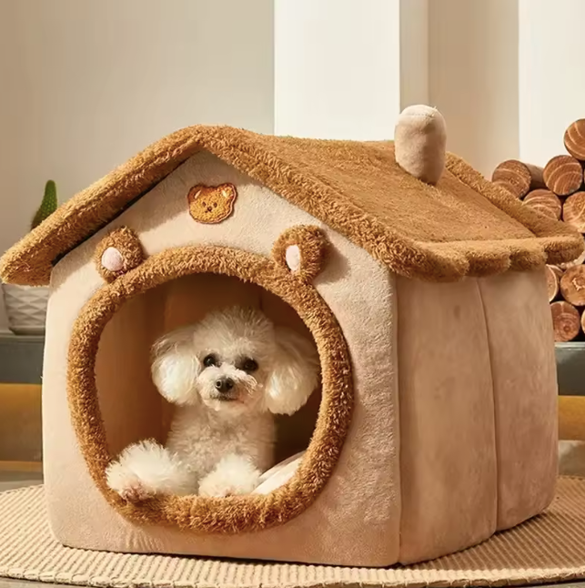 Pet Cartoon House